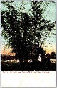 Under The Bamboo Tree Florida FL Baby Girl Horse Riding Antique Postcard