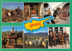 B108869 Cyprus Traditional Life Sheeps Animals, Folklore