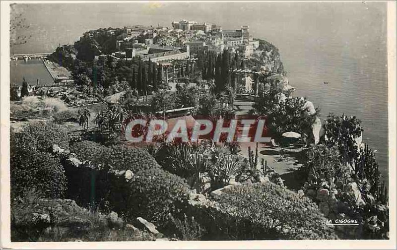 Monaco Modern Postcard The rock and exotic gardens