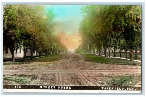 c1910 Street Scene Wakefield Nebraska NE Tinted Posted RPPC Photo Postcard