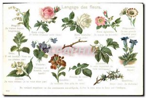 Old Postcard Fantasy Flowers language