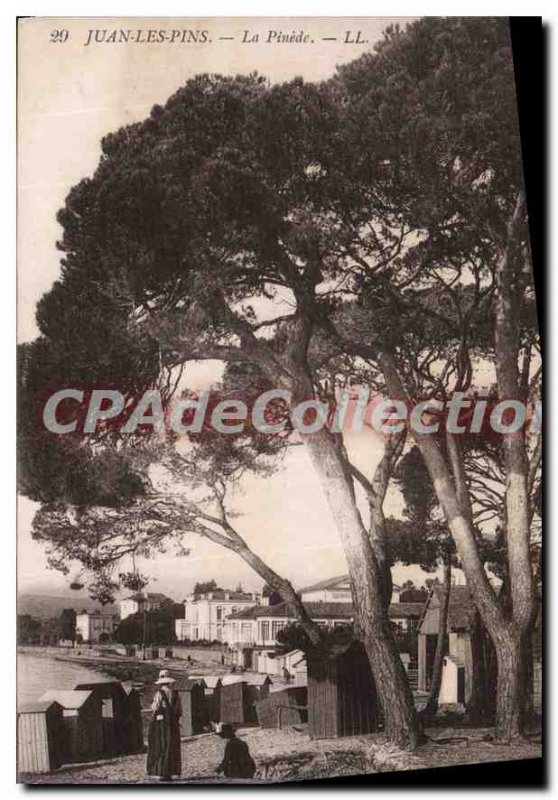 Old Postcard Juan les Pins Pinede