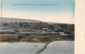 Sawah Indonesia Preanger-Regentschappen Birds Eye View Antique Postcard J67004