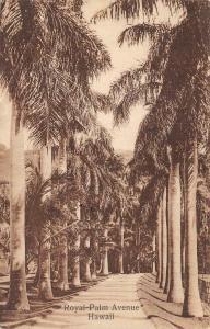 HONOLULU, HI Hawaii   ROYAL PALM AVENUE~Queen's Hospital   c1940's Postcard