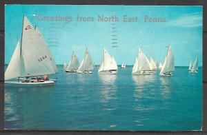 Pennsylvania, North East - Greetings - Sailboats Ready For The Race - [PA-093]