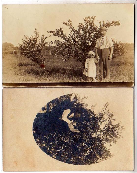 2 - RPPC, Man and Apple trees