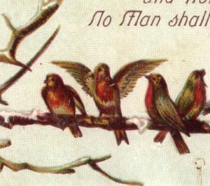 1880s Victorian Religious Card Winter Tree Lovely Birds F114