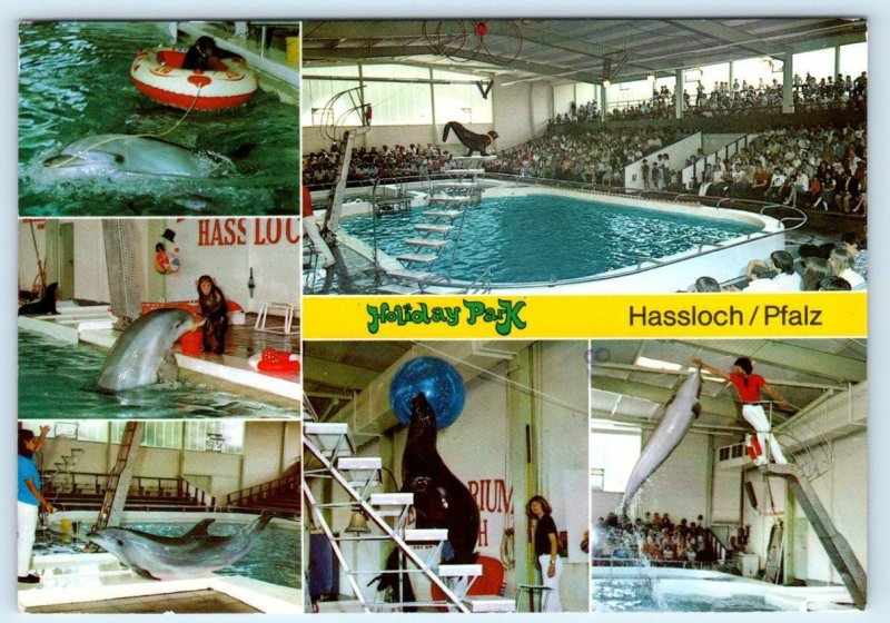 HASSLOCH PFALZ, GERMANY ~ Seals & Dolphins HOLIDAY PARK 1985 ~ 4x6 Postcard