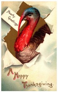 Thanksgiving , Turkey Head , Hearty Greetings