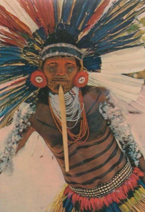 Brazil Brazillian Chief Indian With Tribal Costume Dance Ritual Tattoo Postcard