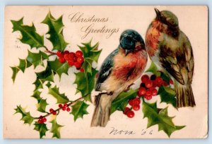 Christmas Postcard Greetings Birds Holly Berries Nash Alton NH 1908 Antique