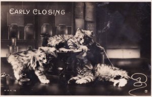 Early Closing Kittens In Pub On Beer Pumps Vintage Cats Comic Real Photo Post...