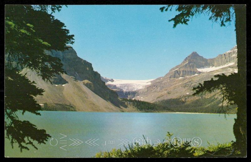 Bow Lake and Bow Glacier