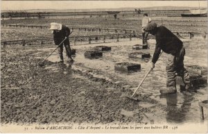 CPA ARCACHON-Cote d'Argent-Le travail dans les parcs aux buitres (27697)