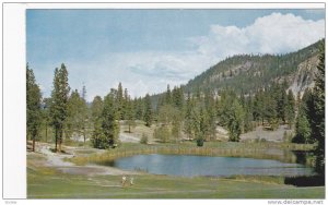 The Lake in the Golf Course, Kelowna, B.C., Canada, 40-60s