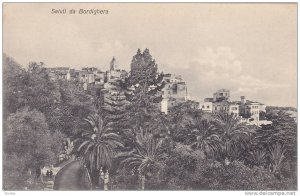 Panorama, Saluti Da Bordighera, Liguria, Italy, 1900-1910s