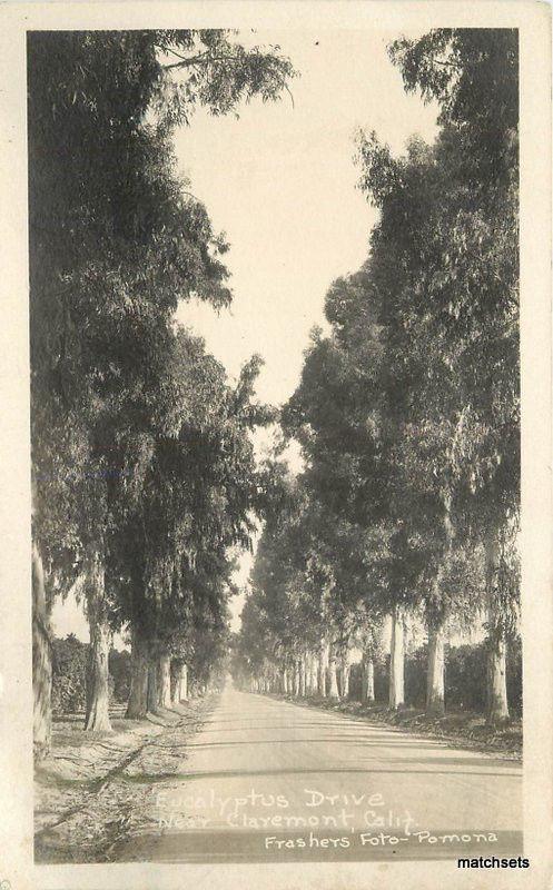 1936 Claremont California Eucalyptus Drive Frasher RPPC real Photo 10933