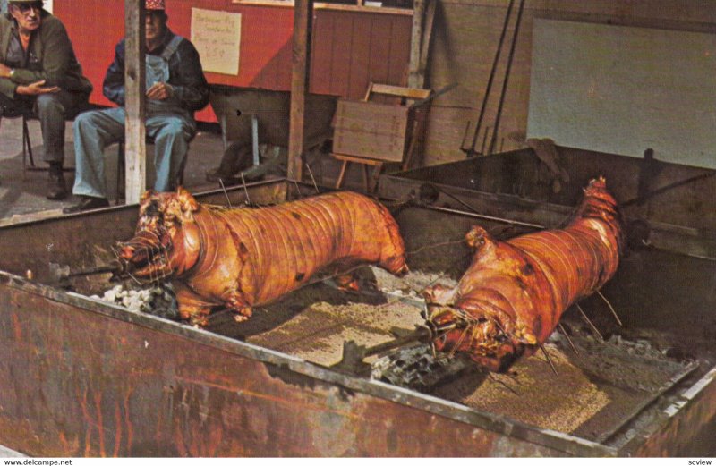 Aztec Trading Post , Parke County , Indiana , 1950-60s ; Pig Roast