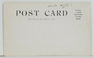 Maine Falls Between Lewiston and Auburn c1906 Postcard P19