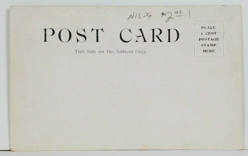 Maine Falls Between Lewiston and Auburn c1906 Postcard P19