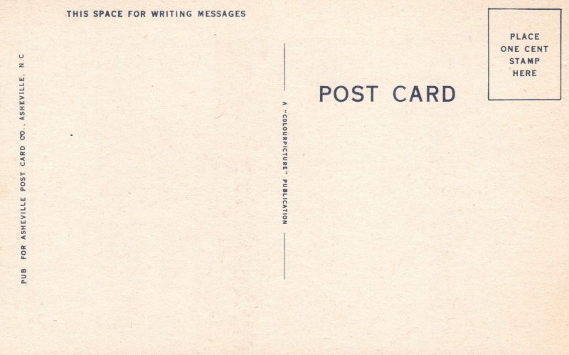 Vintage Postcard Don't Hold Out On Me! Write Now Asheville Post Card Pub.