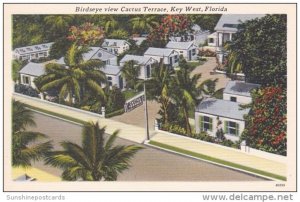 Florida Key West Birds Eye View Cactus Terrace