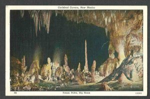 DATED 1940 PPC TOTEM POLES BIG ROOM CARLSBAD CAVERN NM