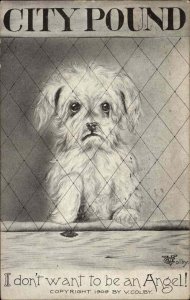 City Pound Sad Dog Euthanasia Animal Cruelty c1910 Vintage Postcard