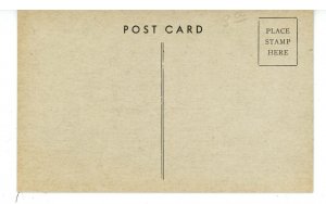 IL - Chicago. Riverview Park & Amusements, Mill on the Floss ca 1908