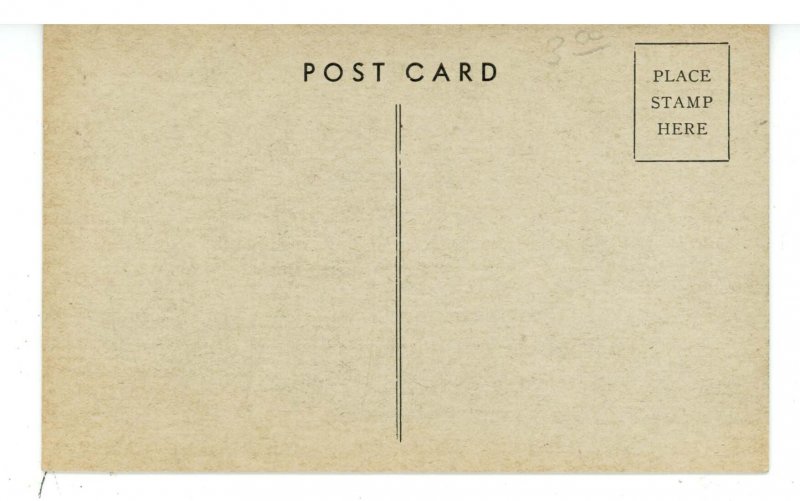 IL - Chicago. Riverview Park & Amusements, Mill on the Floss ca 1908