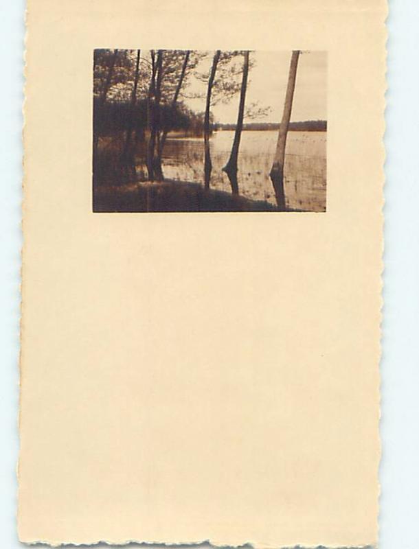 1922 rppc TREES ALONG THE SHORELINE Stockholm Sweden HM1540