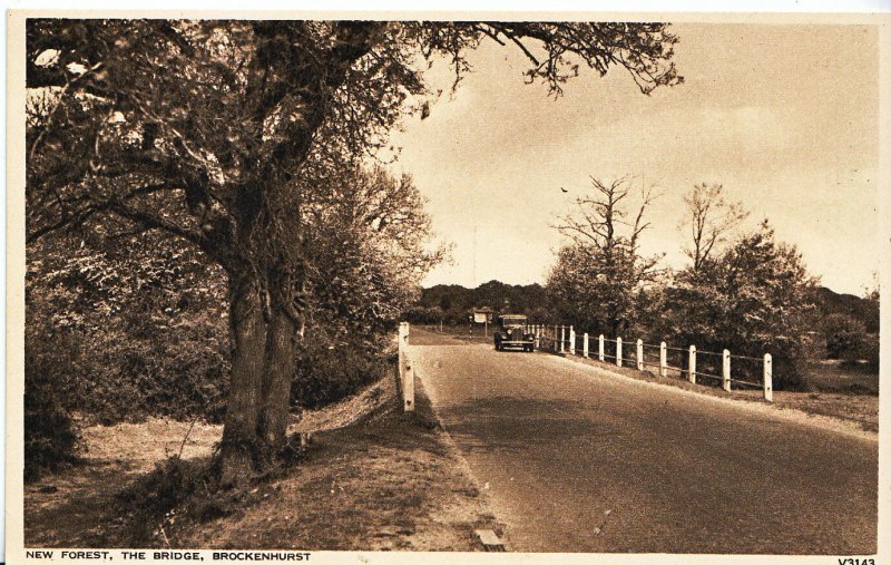 Hampshire Postcard - New Forest - The Bridge - Brockenhurst    3477