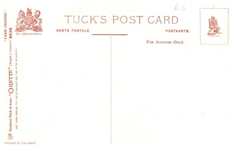 Dog , Terrier, and Hog