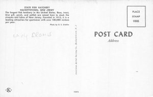 State Fish Hatchery Hackettstown NJ Aerial View Vintage Postcard