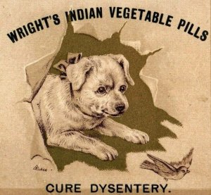 1890's Wright's Indian Vegetable Pills Quack Medicine Cute Puppy & Bird P176