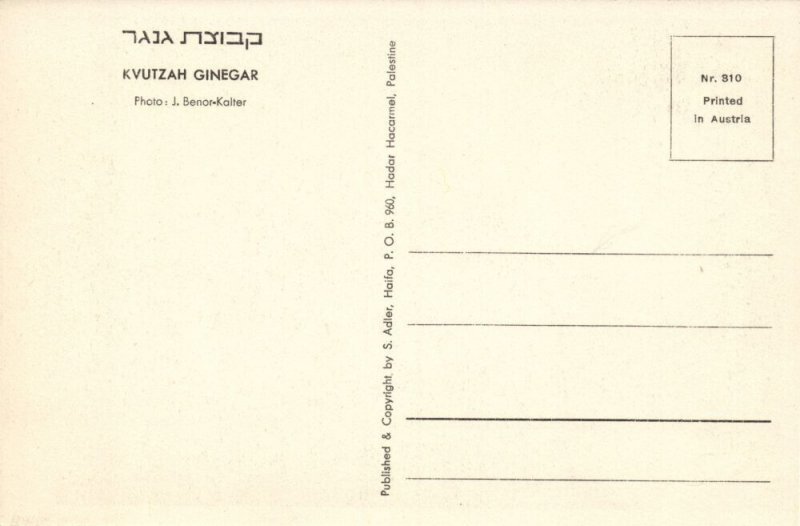 israel palestine,  GINEGAR Kibbutz Kvutzah Judaica (1930s) Benor-Kalter Postcard