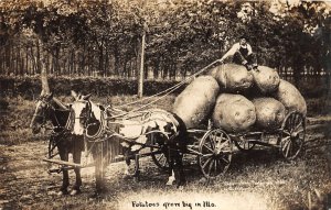 G57/ Tipton Missouri RPPC Postcard Exaggeration Potatoes Wagon Martin