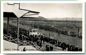 Caliente Horse Race Track Tijuana Mexico UNP WB Big Curio Store Postcard J10