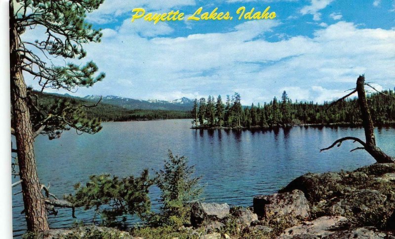ID, Idaho  PAYETTE LAKE SCENE  Valley County   c1960's Chrome Postcard