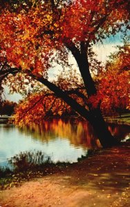 1955 Autumn Color Beautiful Colorful View Of The Nature & Lake Vintage Postcard