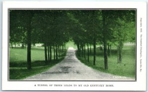 Postcard - A Tunnel Of Trees Leads To My Old Kentucky Home - Bardstown, Kentucky