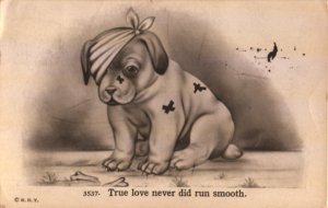 puppy postcard: True Love Never Did (Big Spring postmark)
