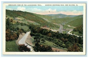 1913 The Lackawanna Trail and Montrose Road, New Milford, Pennsylvania Postcard