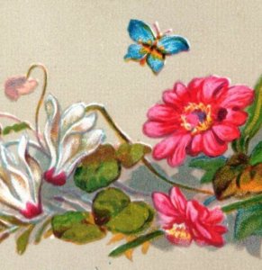 1880s Victorian Christmas Trade Card Butterfly Beautiful Flowers Fab! F116