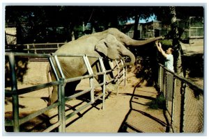 c1950 Marsalis Park Zoo Marsalis & Clarendon Avenue Oak Cliff Dallas TX Postcard