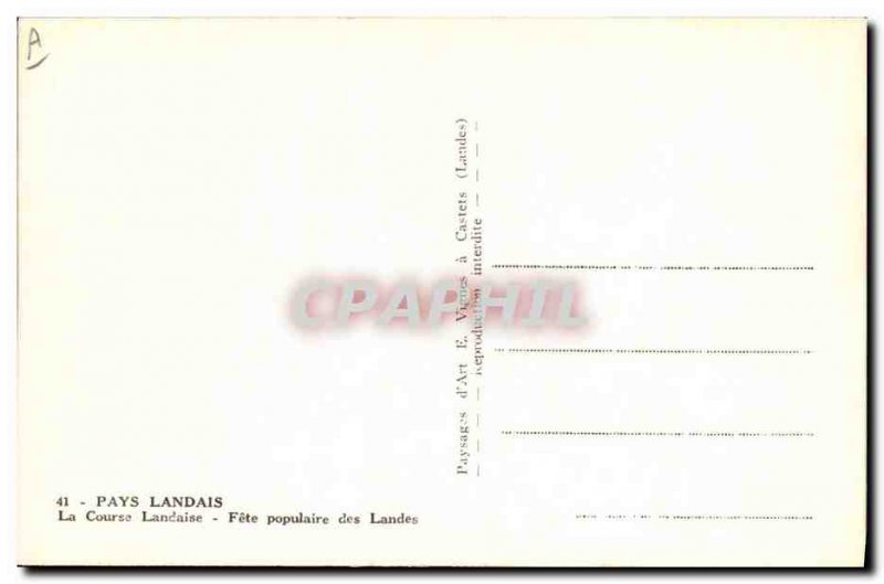 Modern Postcard Bullfight Bullfight In The Country Landais landaise popular F...