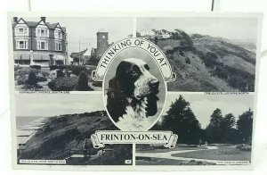 Vintage Multiview Postcard Frinton On Sea Springer Spaniel