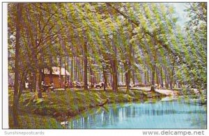 Alabama Tannehill State Park Ole Swimming Hole On Tannehill Mill Creek 1977