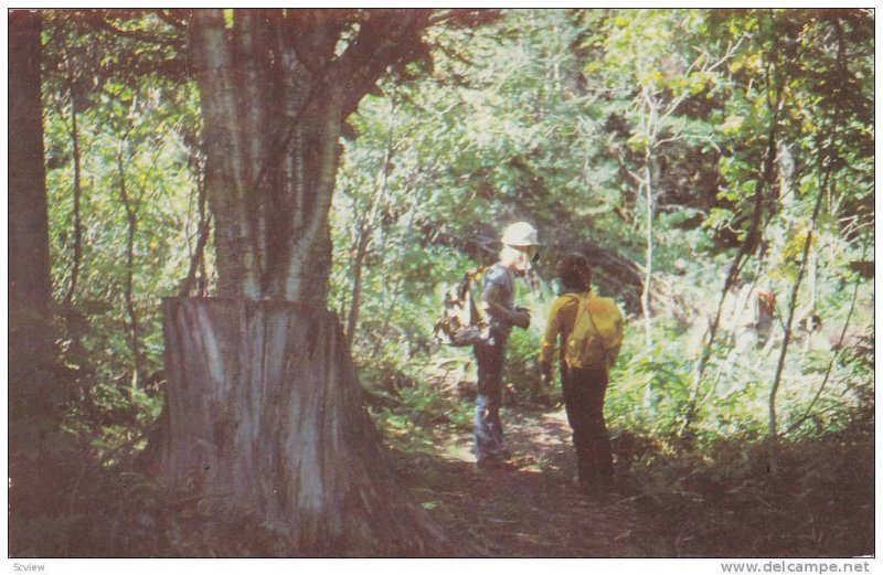 Les Sentiers Ecologiques Du Mont-O'Neil, St. Edouard De Frampton, Quebec, Can...