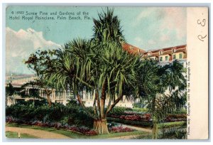 Screw Pine And Gardens Of Hotel Royal Poinciana Palm Beach FL Rotograph Postcard 